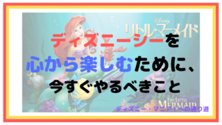 ディズニーシーを心から楽しむために、今すぐやるべきこと【通になる】