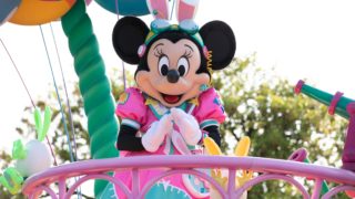 ディズニーでストロボを使うのは禁止なのか について ルールとマナー ディズニーシー マニア