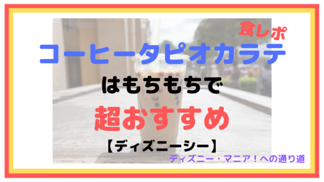 付き合う前のディズニーデートについて ぼっちディズニー勢が教示 ディズニーマニア 教室