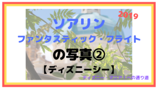 【2019】ソアリン：ファンタスティック・フライトの写真②【ディズニーシー】