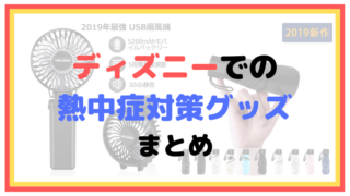 ディズニーでの熱中症対策(グッズ)のまとめ【ひらかたパークでの熱中症事故を受けて執筆】