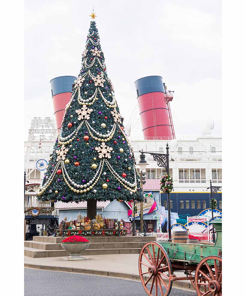 ディズニーリゾートの2019年冬のクリスマスイベントの画像
