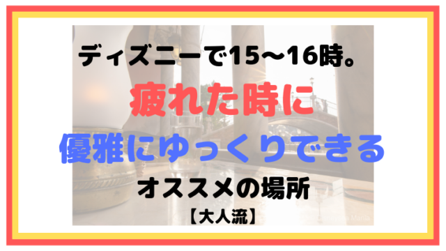 雨の日ディズニーについてまとめた 雨具紹介 ショー中止 ディズニーシー マニア