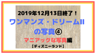 2019年12月13日終了！ワンマンズ・ドリームⅡ の写真④マニアック編【ディズニーランド】