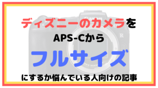 ディズニーのカメラをAPS-Cからフルサイズにするか悩んでいる人向けの記事