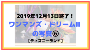 2019年12月13日終了！ワンマンズ・ドリームⅡ の写真⑥【ディズニーランド】