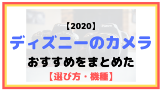 【2020】ディズニーにおすすめのカメラまとめ（一眼レフ・ミラーレス）【選び方・機種】