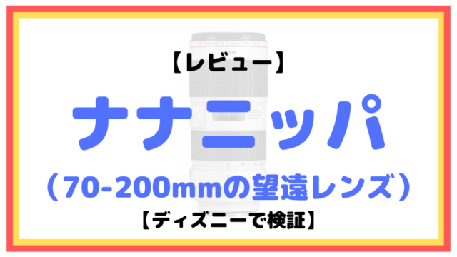 ディズニーでストロボを使うのは禁止なのか について ルールとマナー ディズニーマニア 教室